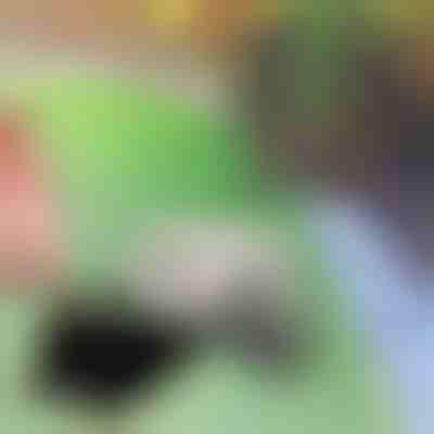 Kamień ze Schowkiem na Klucz | KEYBLEND