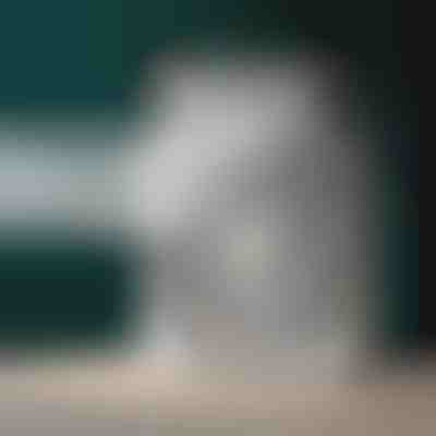 Klimatyzator przenośny | FRIOZA