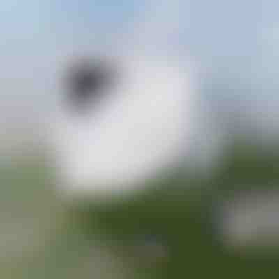 Bezproblemowe czyszczenie okien | WINDOWSWIPE